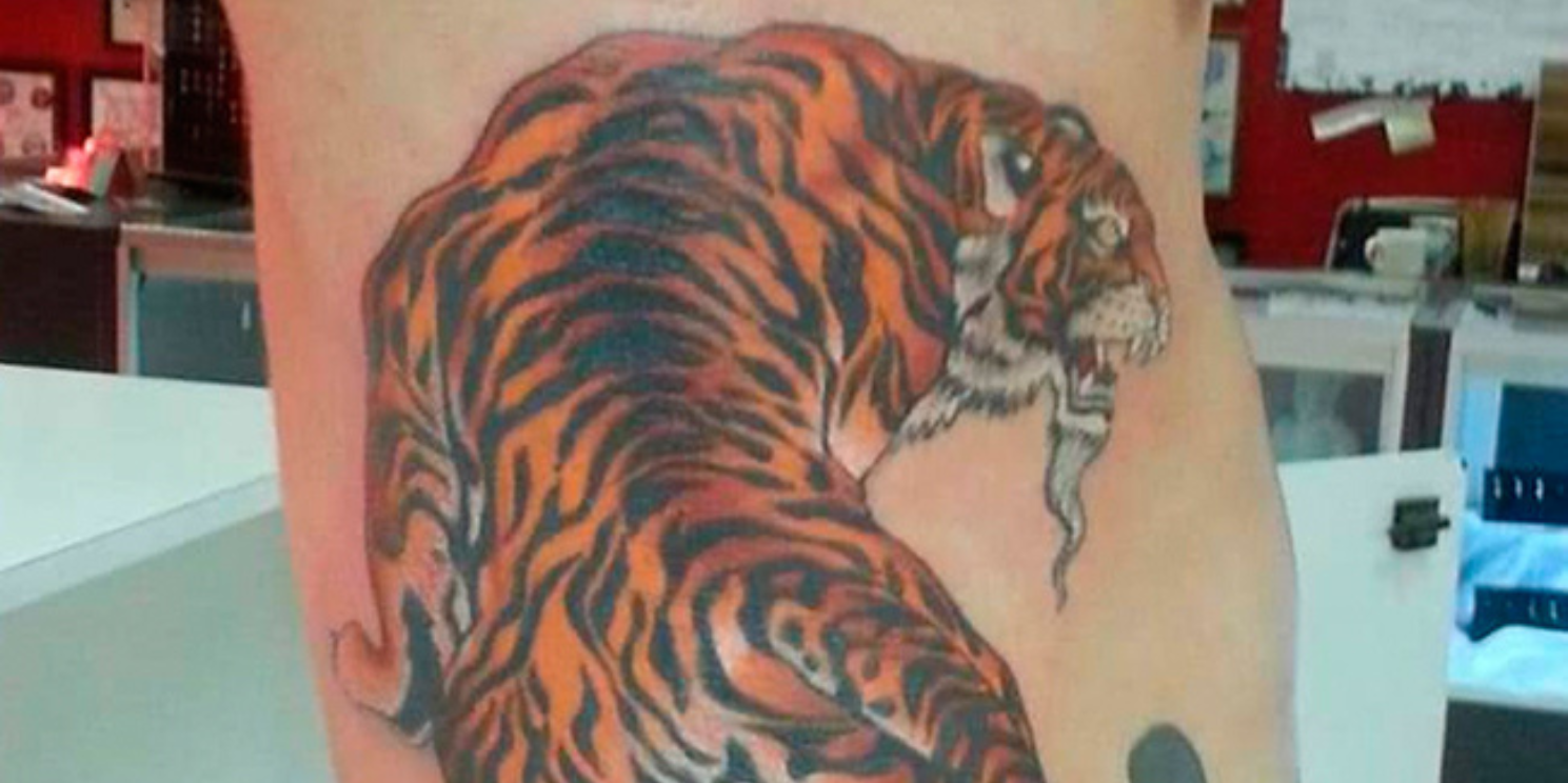 a tattoo of a tiger done by steel addictions toledo tattoo<br />

